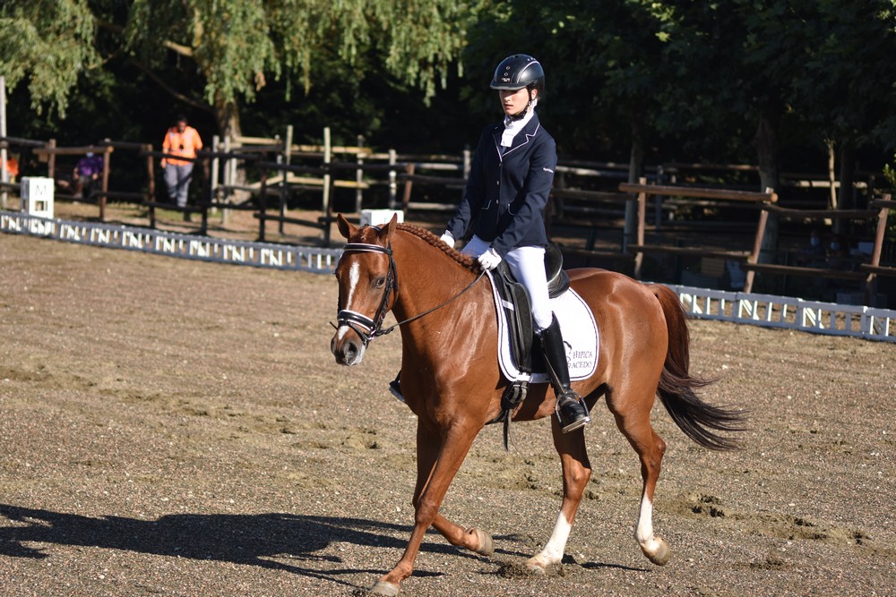 Un sol de justicia acompaña el inicio del Campeonato Navarro de Doma Clásica y Adaptada